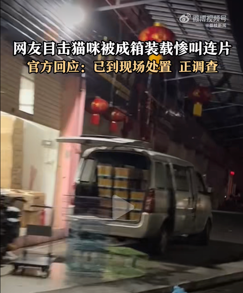 官方回应佛山猫咪疑被成箱装载运输：正调查